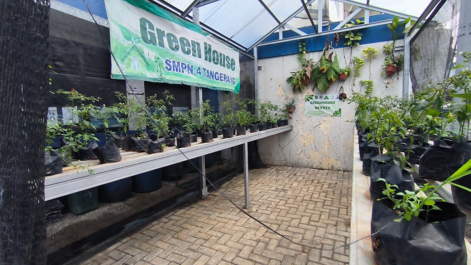 Green House